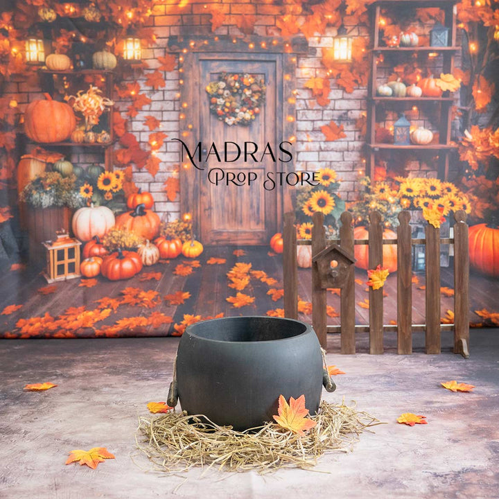 Setup - 0690 ( 16 Sets ) : Baby Props