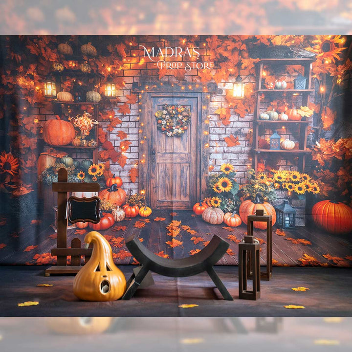 Setup - 0698 ( 15 sets ) : Baby Props