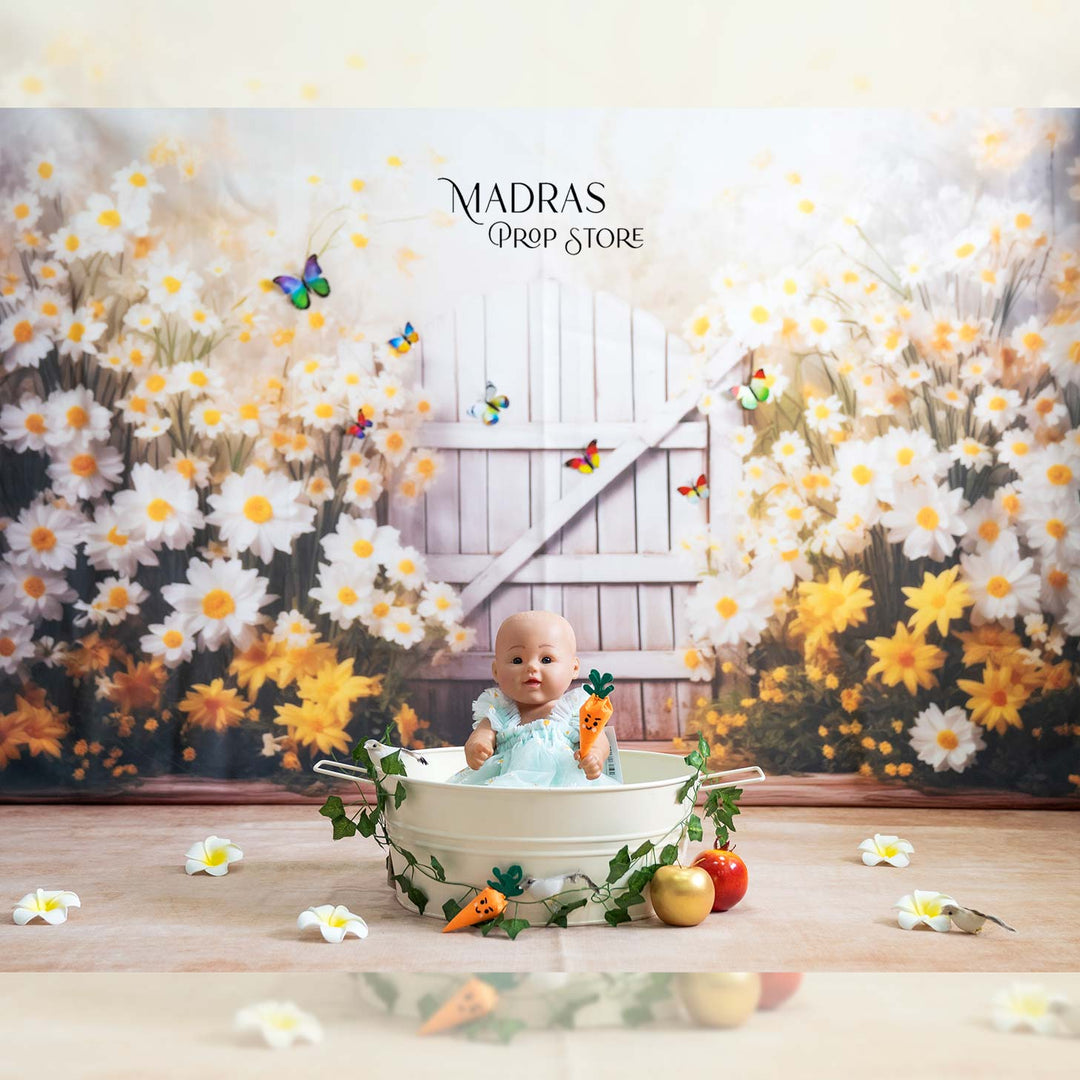Setup - 704 ( 22 sets )  : Baby Props