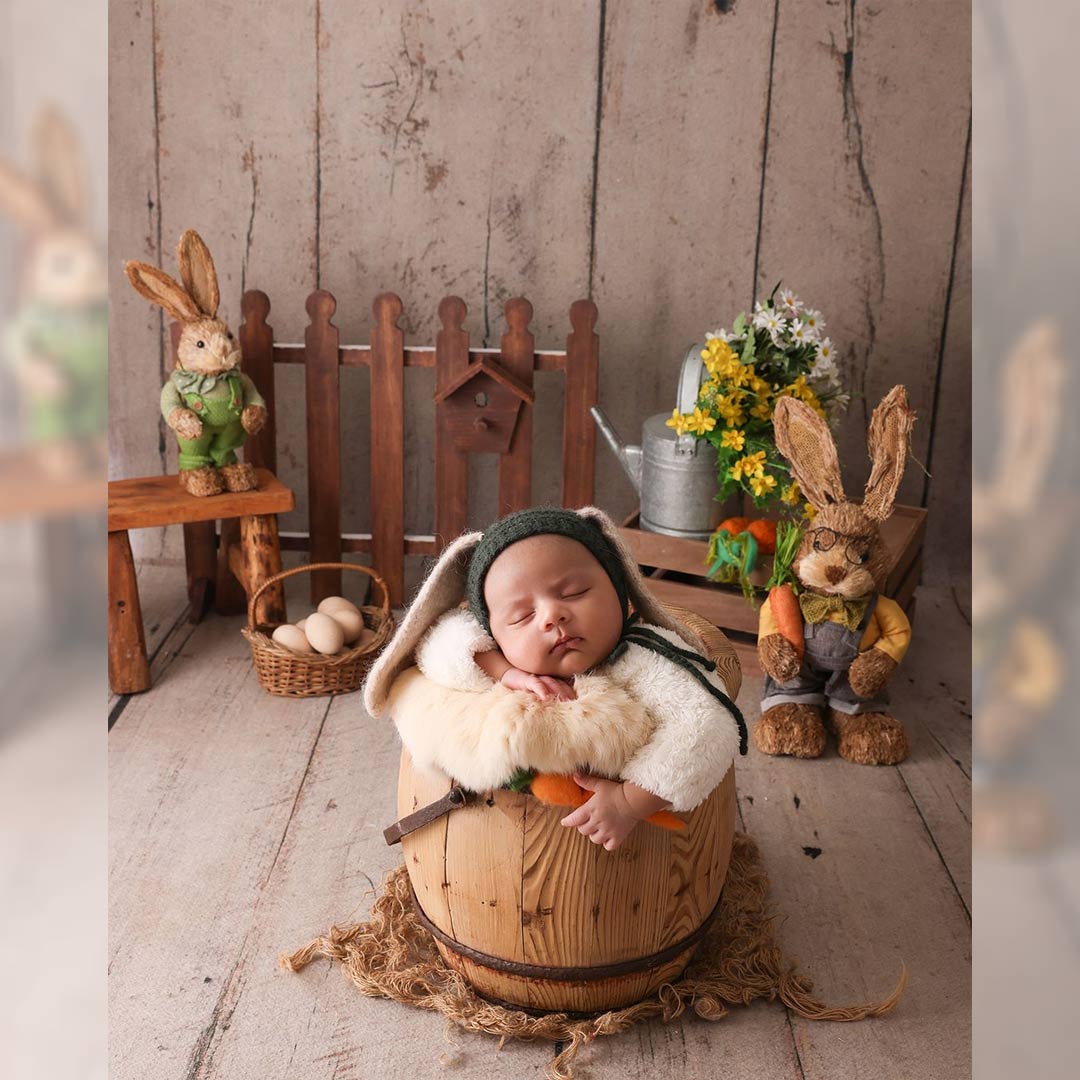 2 in 1 Fence with a tree-house : Baby Prop