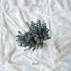Snow Flower V0.1 ( Set Of 2 )