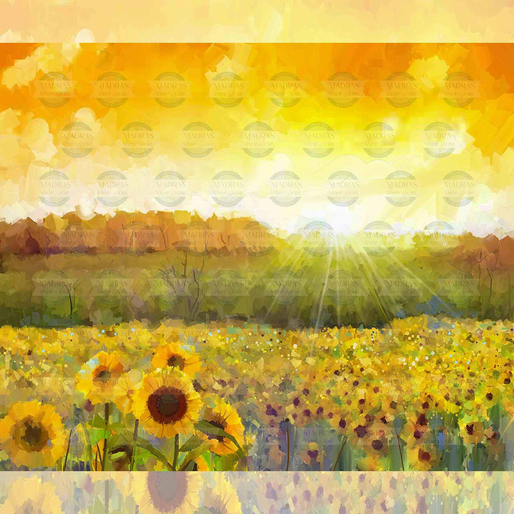 Sunflower Fields - Baby Printed Backdrops - Fabric (Pre-Order)