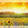 Sunflower Fields - Printed Backdrop - Fabric - 5 by 7 feet