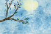 Canvas Printed Backdrop - 5 by 4 feet - G97