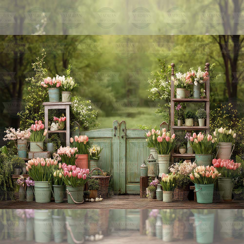 Tulip Garden  : Baby Backdrops