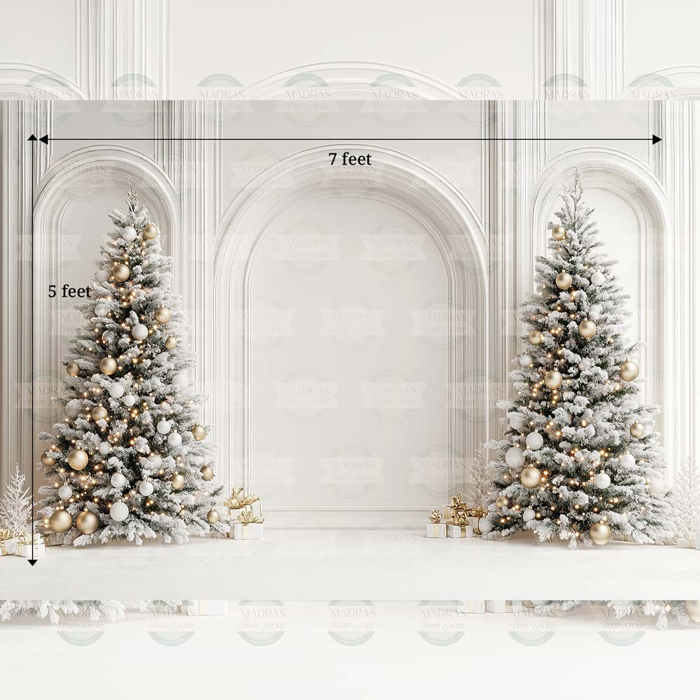 Winter Hall : Baby Backdrops