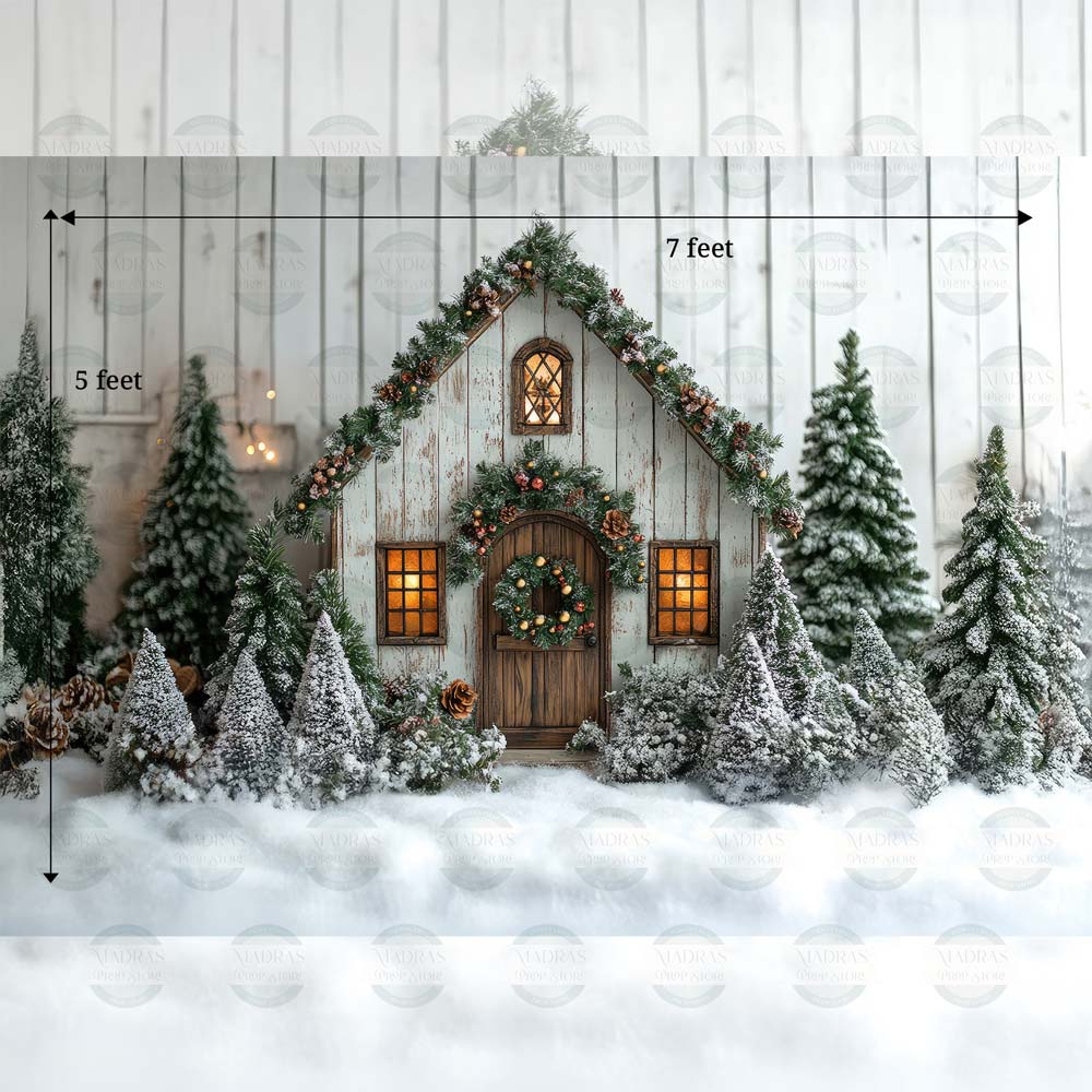 Winter Wonderland : Baby Backdrops