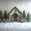 Winter Wonderland - Printed Backdrop - Fabric - 8 by 8 Feet