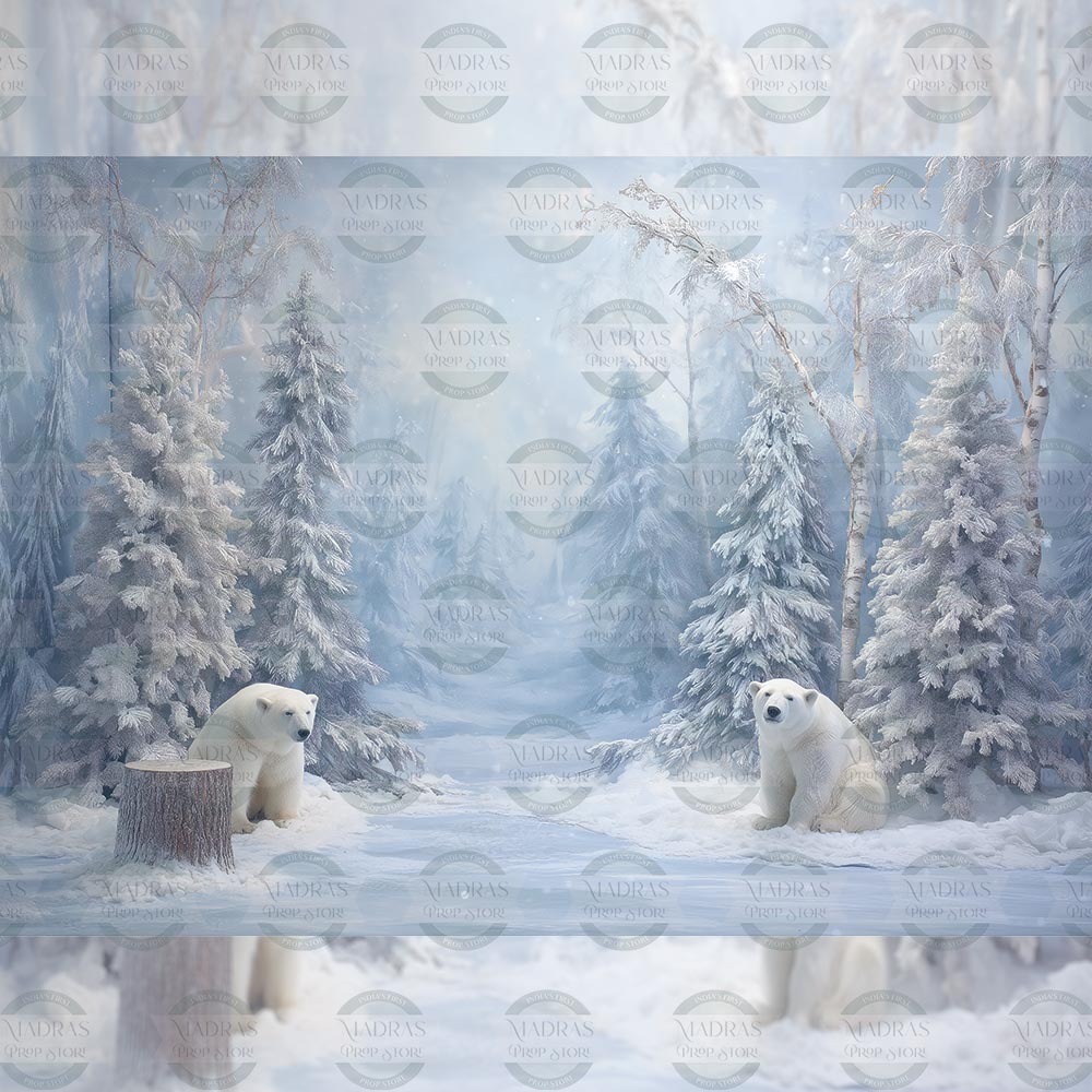 Winter Fairytale : Baby Backdrop