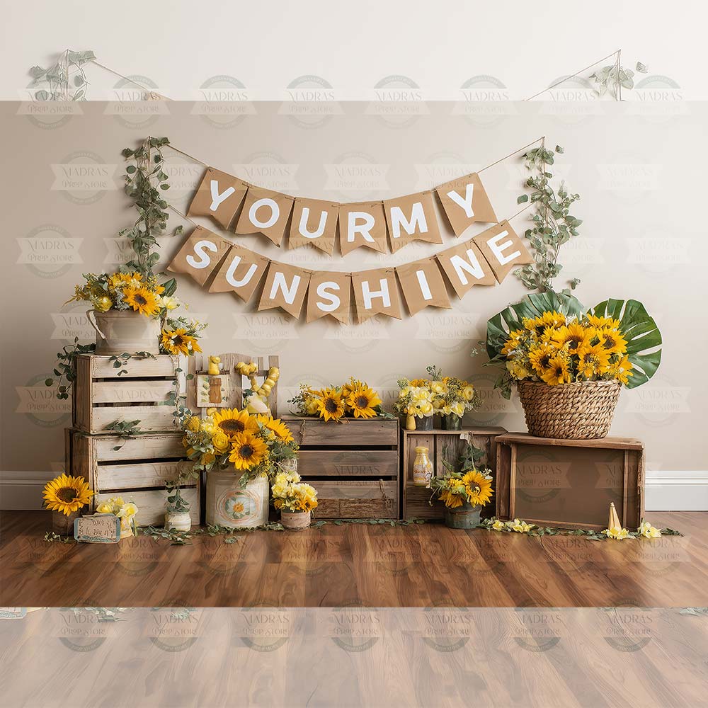 You Are My Sunshine : Baby Backdrops