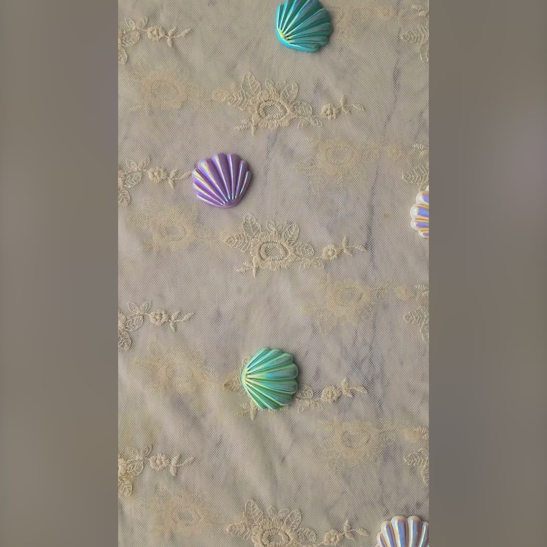 Set of 5 Colourful Seashells : Baby Props