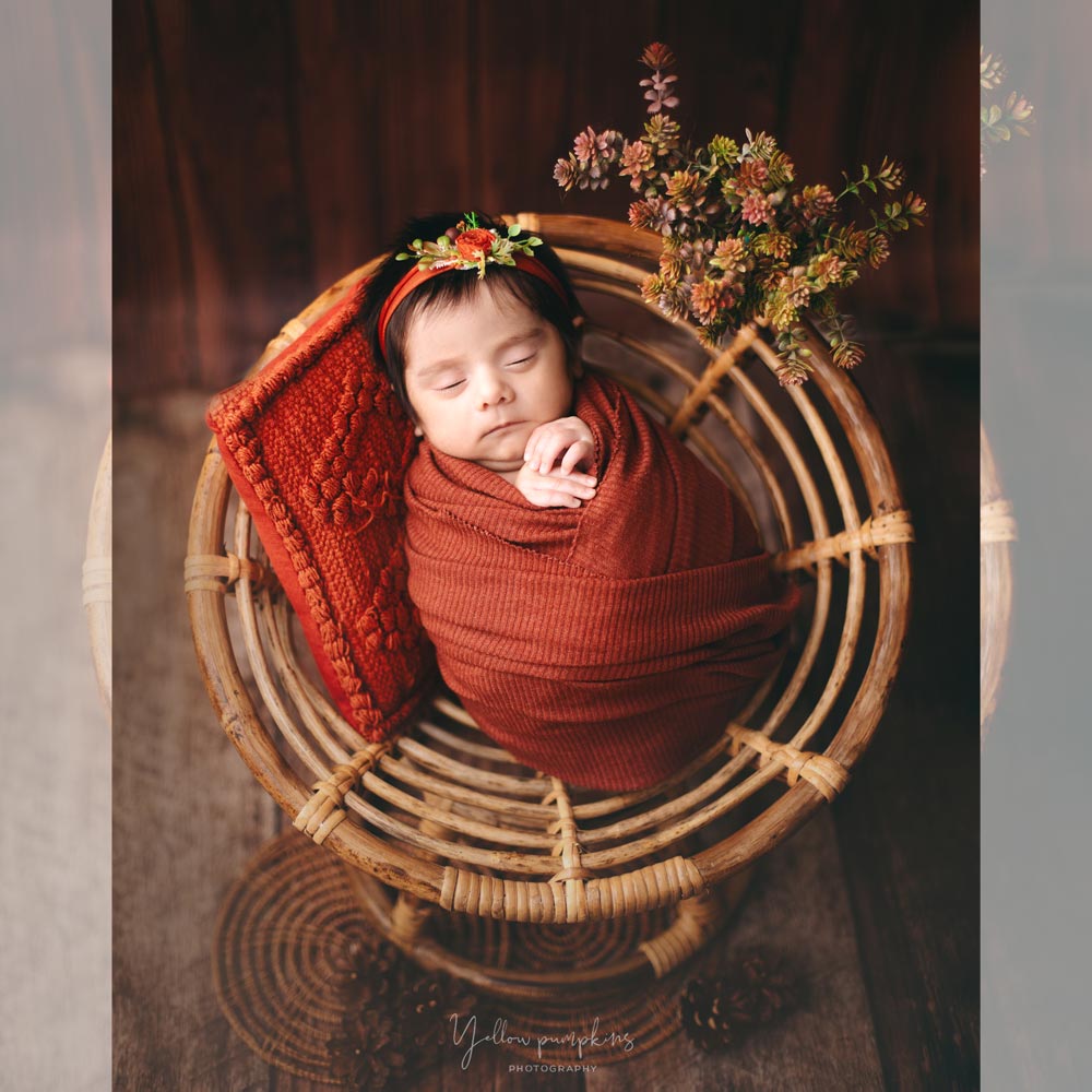 Papasan Chair : Baby Props
