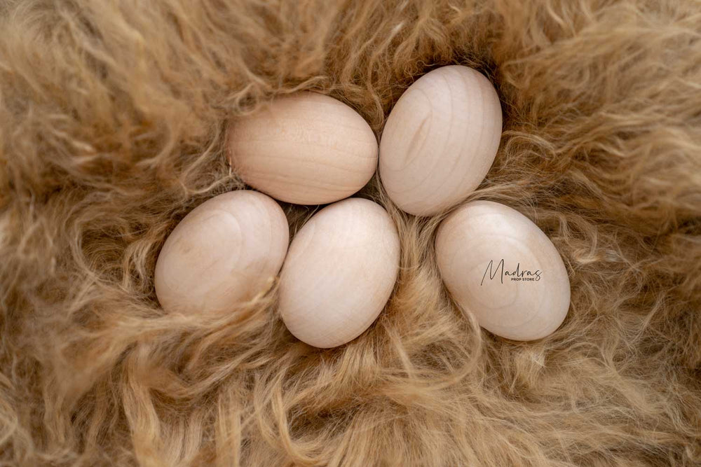 Wooden Egg : Baby Props