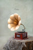 Big Gramophone | 36 cm