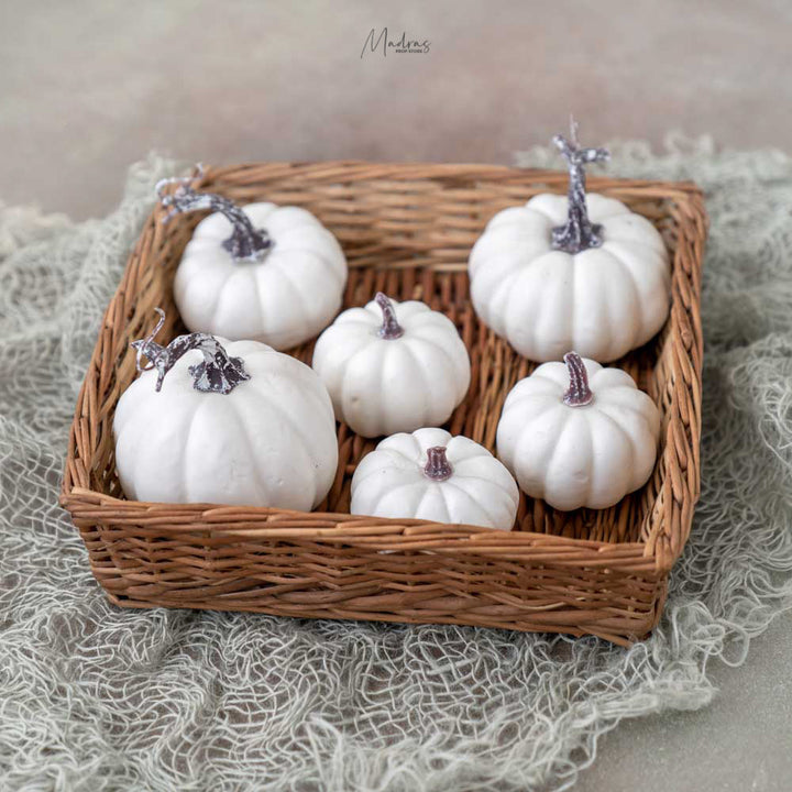 Chalky White Pumpkins : Baby Props