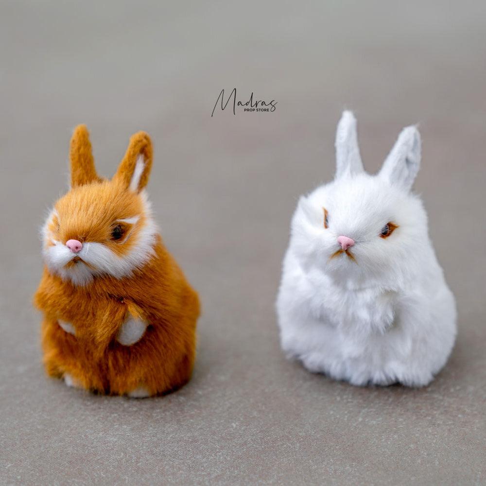 Rabbits : Baby Props