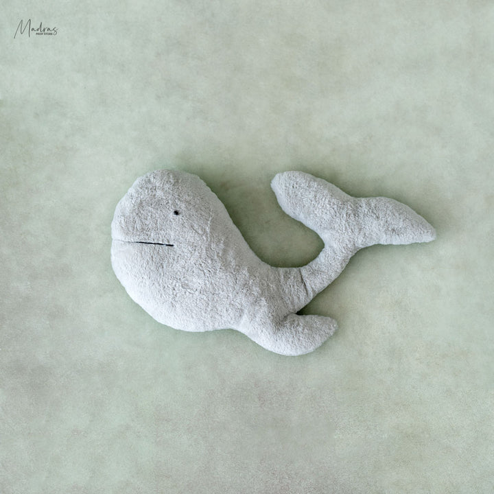 Whale Posing Pillow : Baby Props