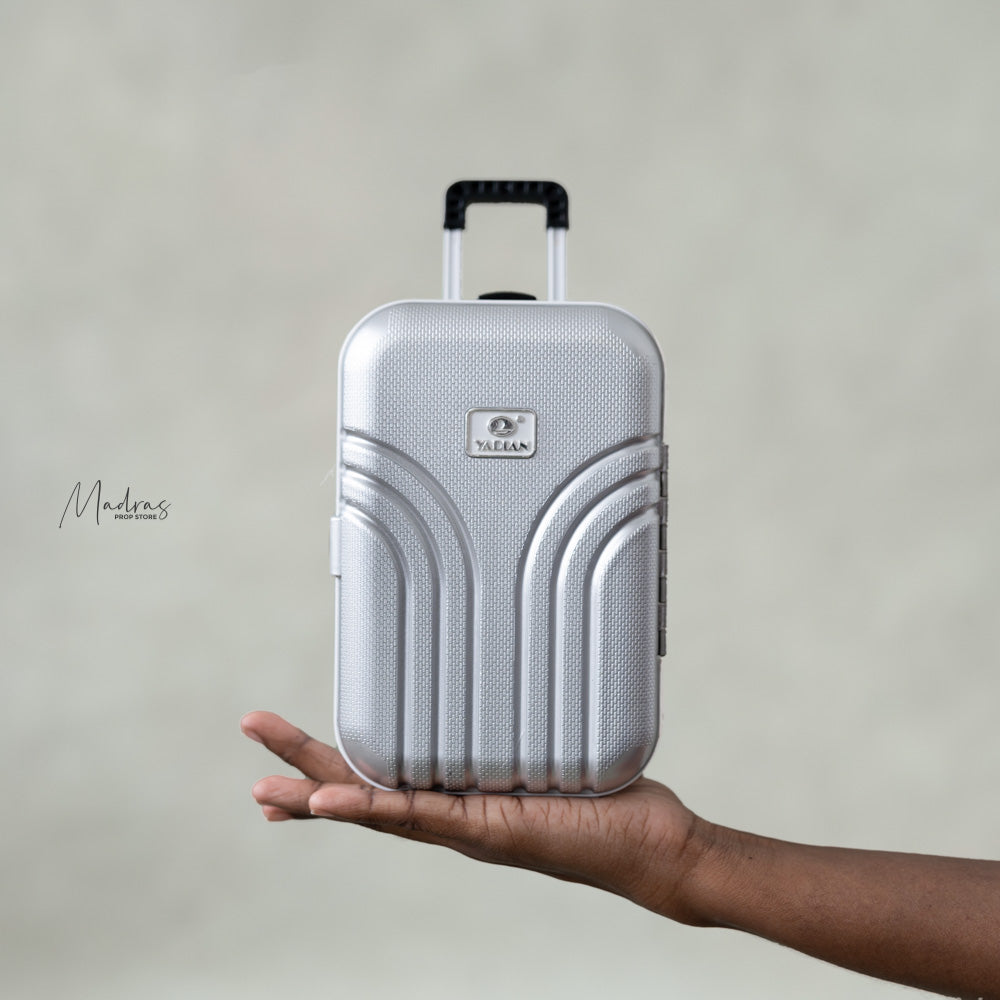 Mini Suitcase : Baby Props