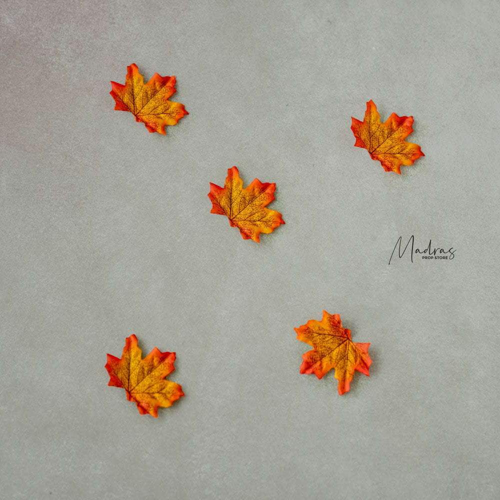 Maple leaves set of 5 : Baby Props