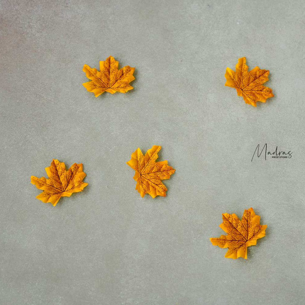 Maple leaves set of 5 : Baby Props