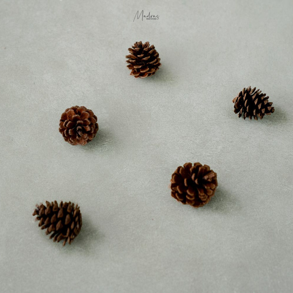 Pine cone Set Of 5 : Baby Props