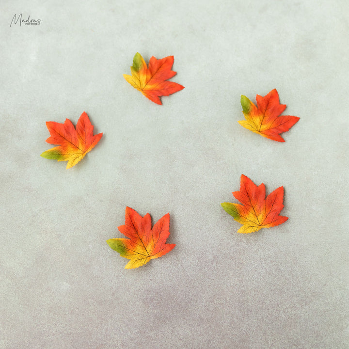 Maple leaves set of 5 : Baby Props