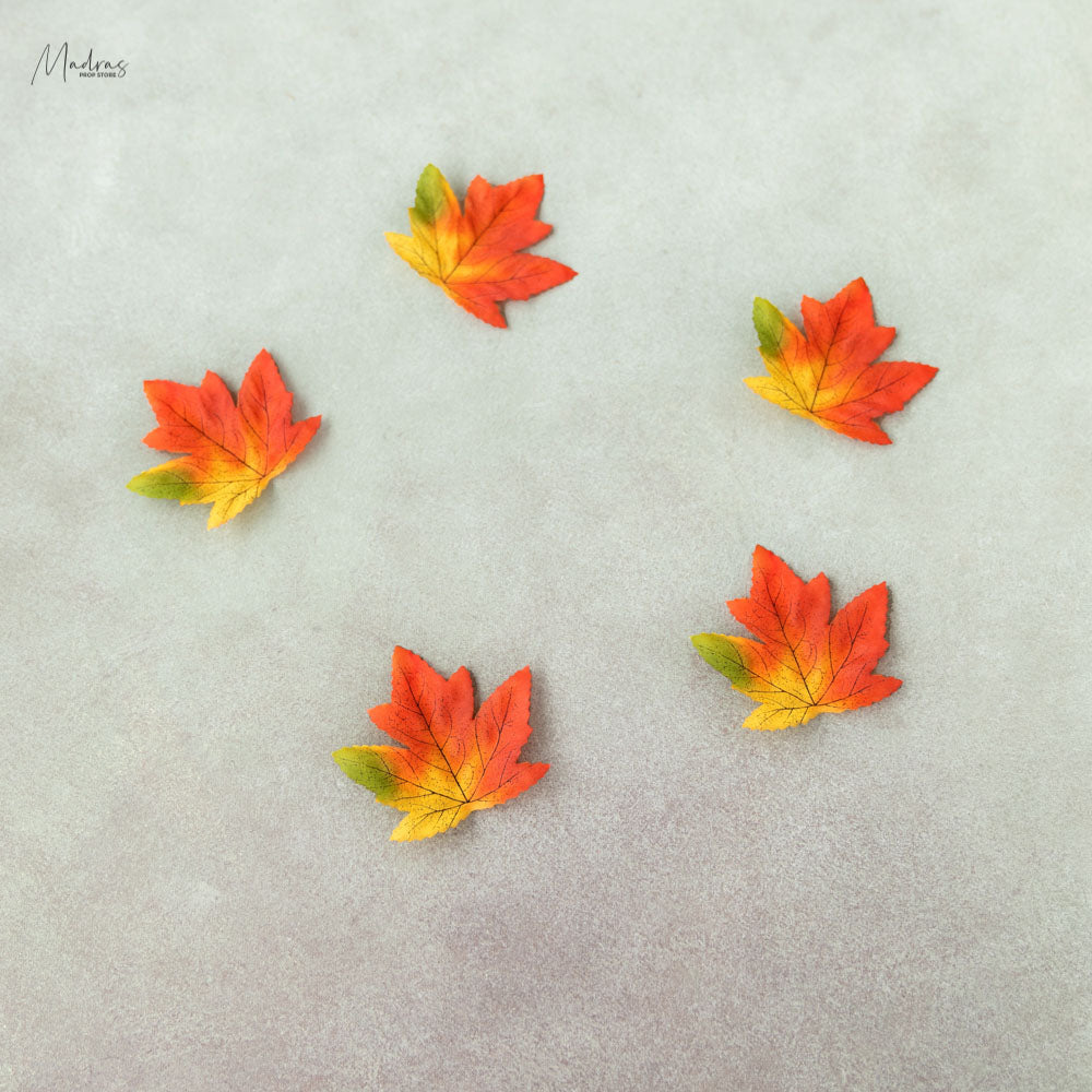 Maple leaves set of 5 -Baby Props
