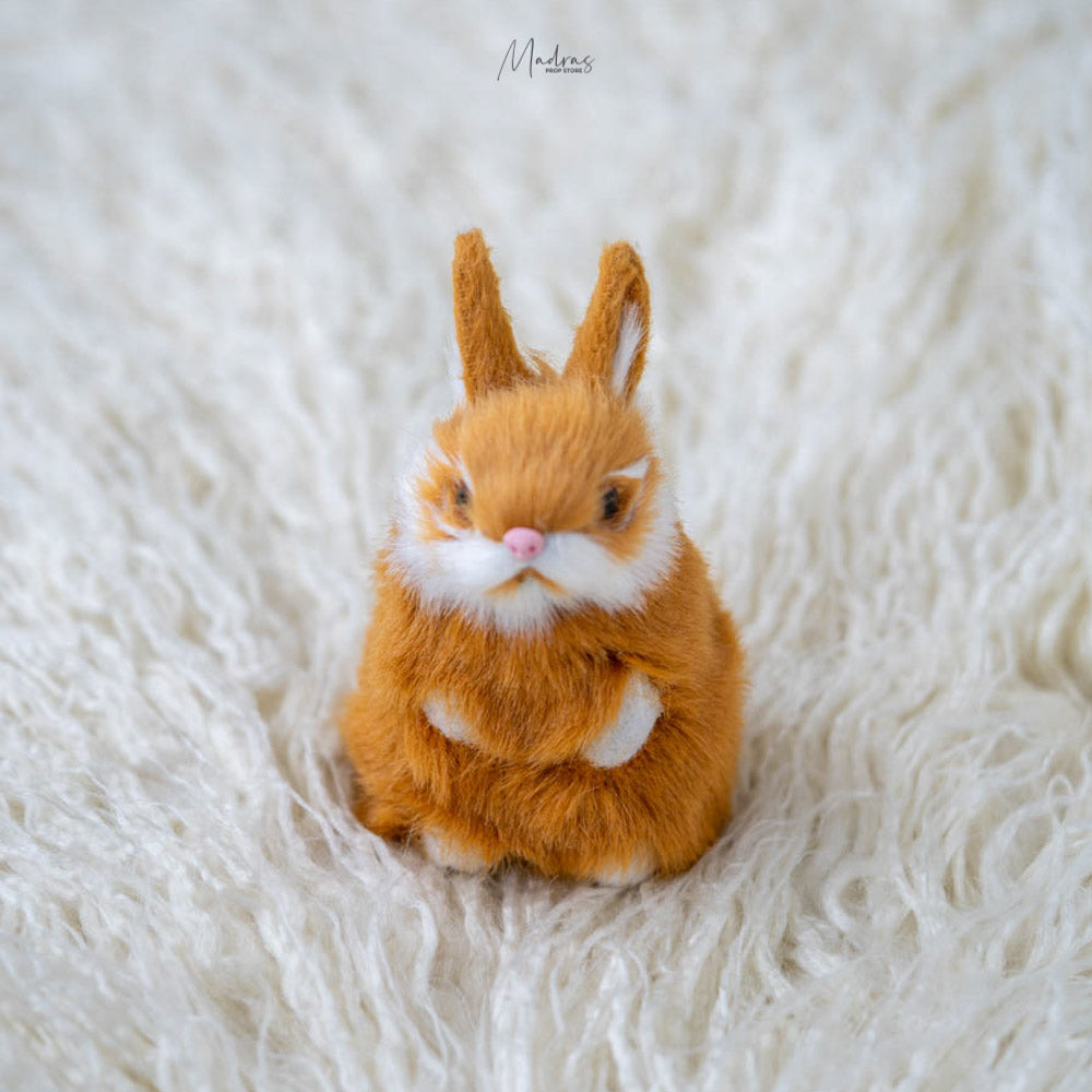 Rabbits : Baby Props