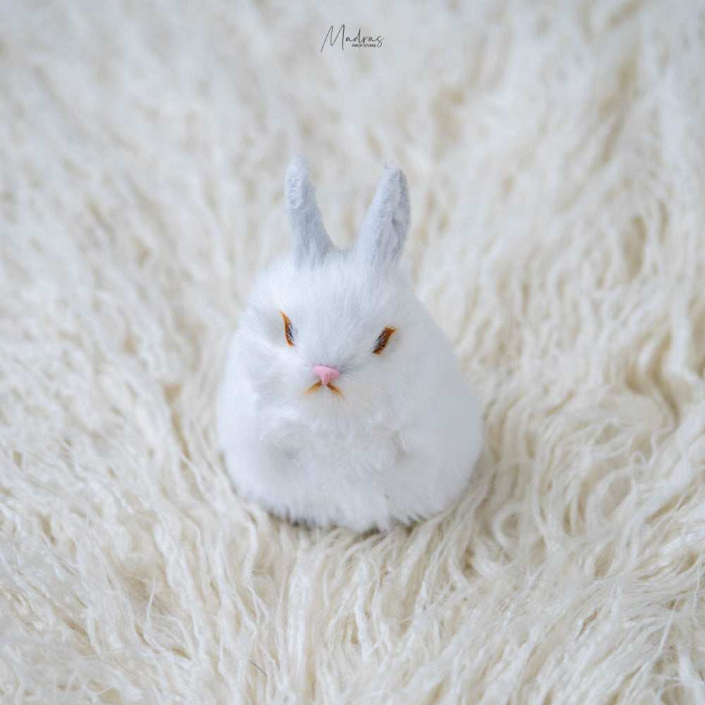 Rabbits : Baby Props