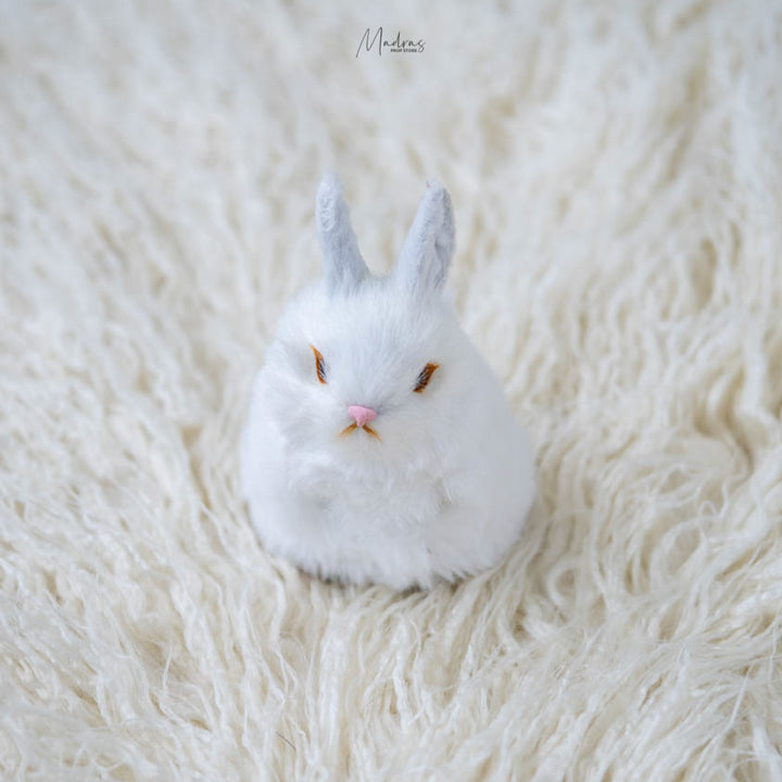 Rabbits : Baby Props