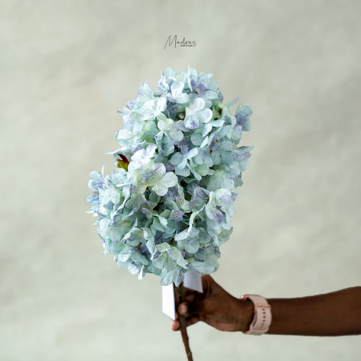 Luxe Hydrangea : Baby Props