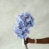 Luxe Hydrangea set of two