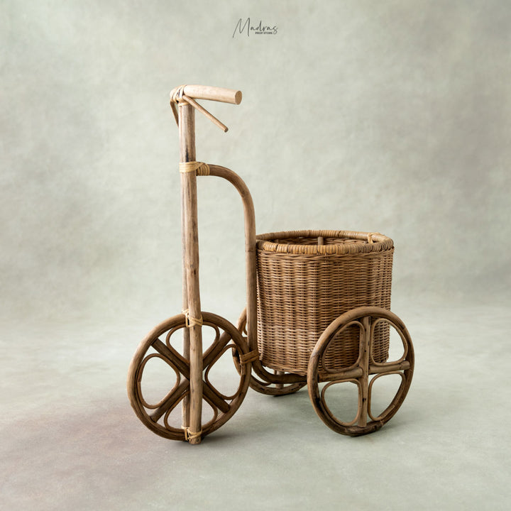 Bamboo Cycle:  Baby Props