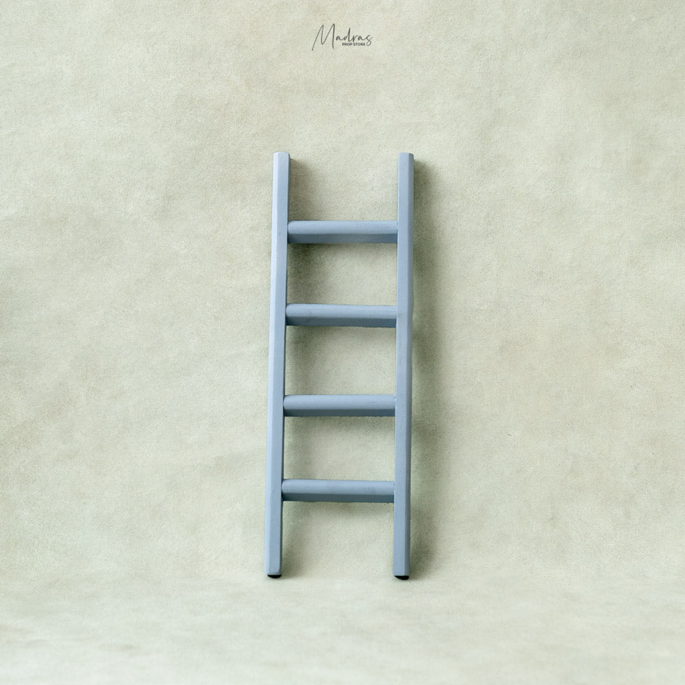 Barn Ladder