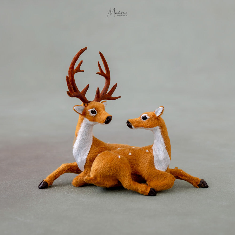 Reindeer (Sitting) Set Of Two : Baby props