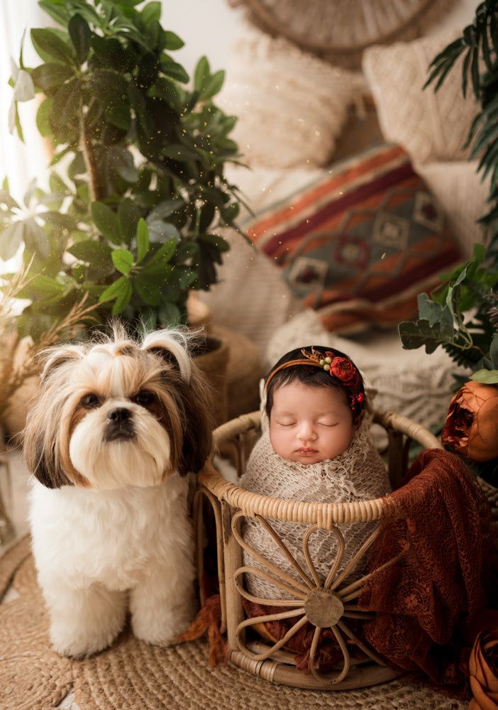 Blossom Basket : Baby Props