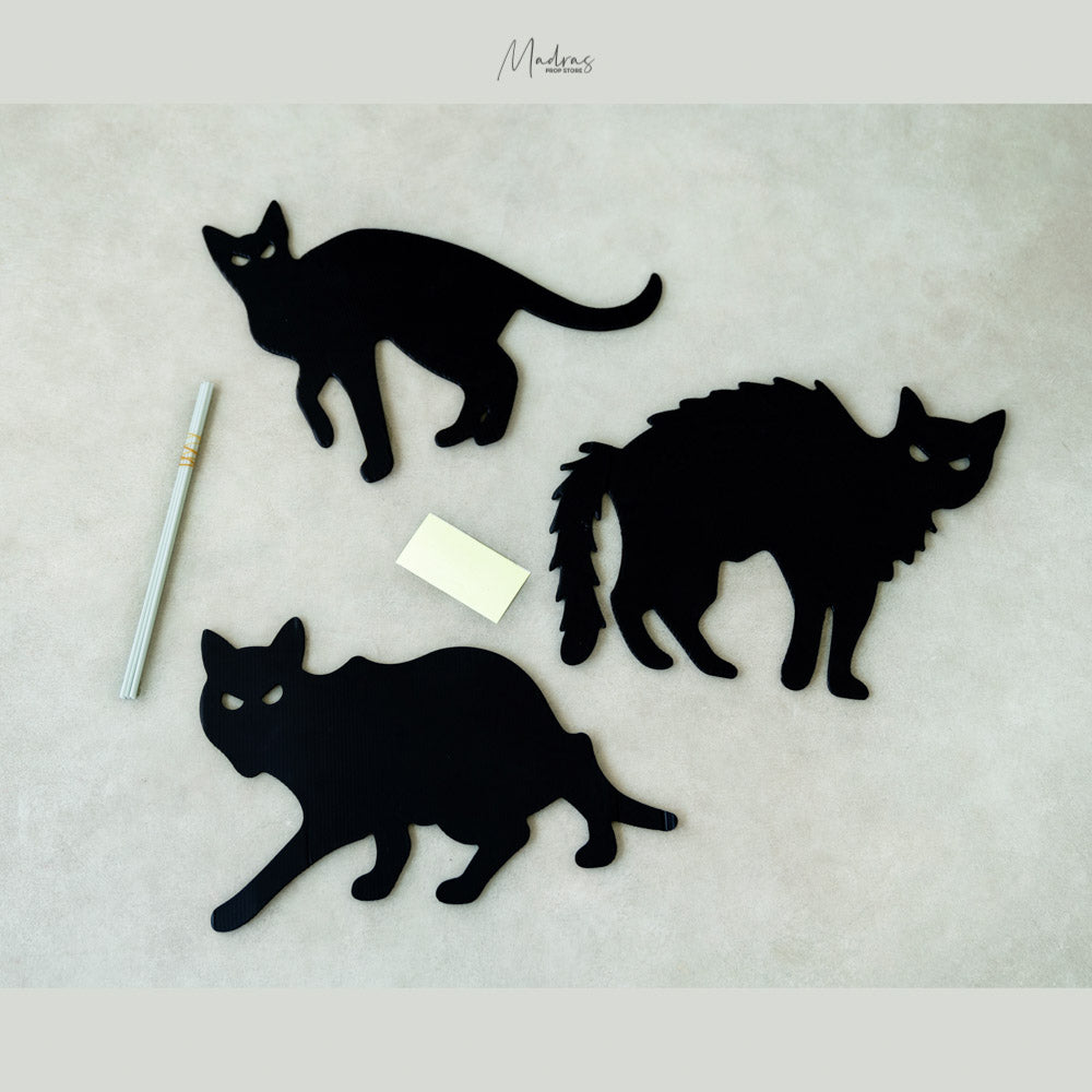 Black cat - Baby Props