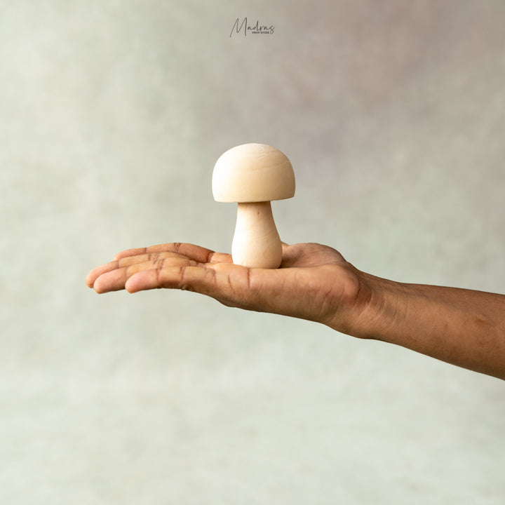 Mushrooms Set Of 2 -Baby Props