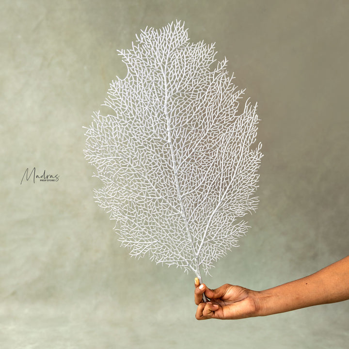 Delicate Decor Leaf : Baby Props