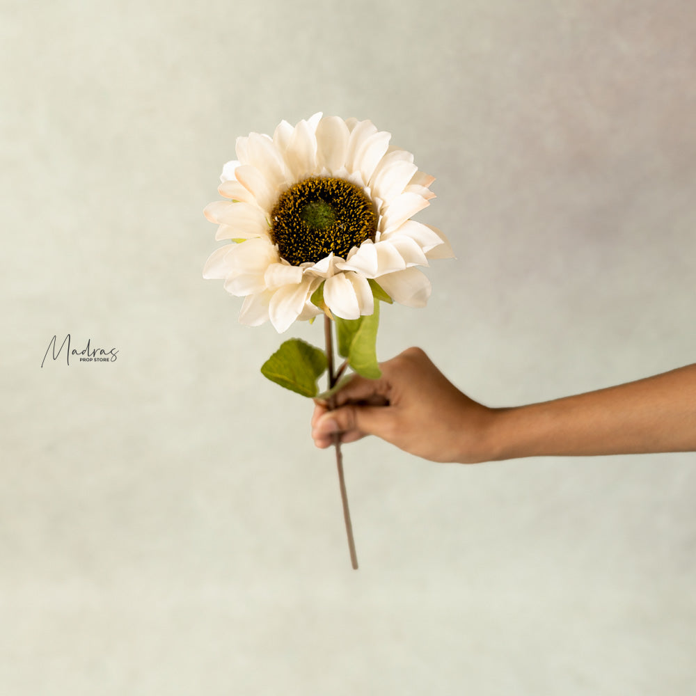 Sunflower With Single Head : Baby Props