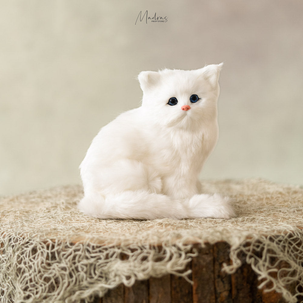 Persian Cat- Baby Props