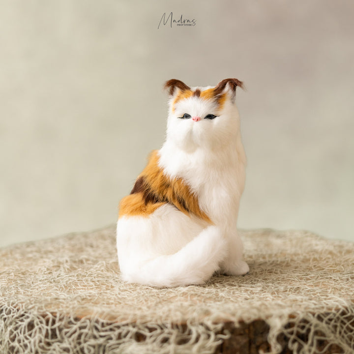 Persian Cat- Baby Props