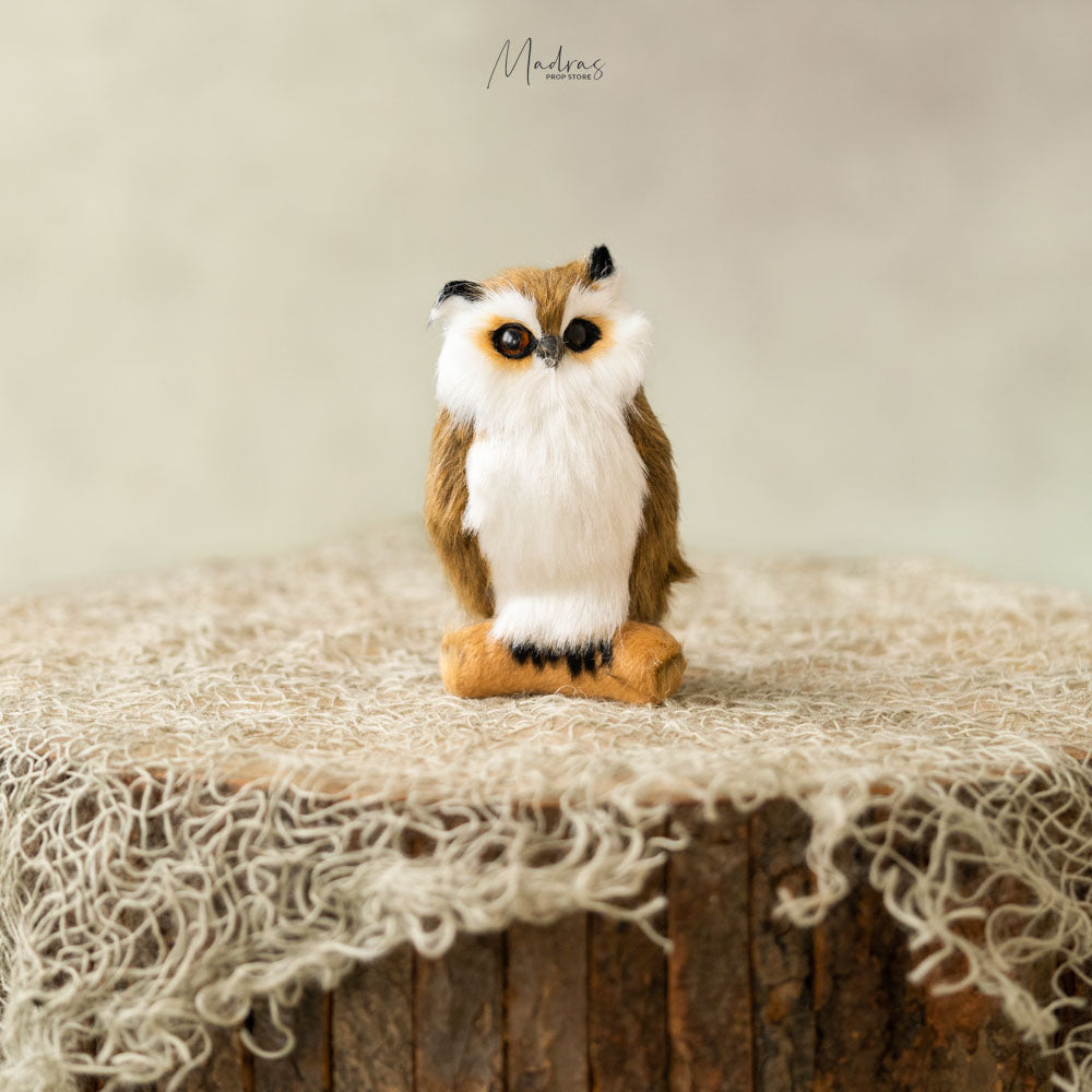 Straw Eyed Owl : Baby Props