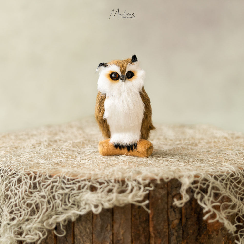 Straw Eyed Owl- Baby Props