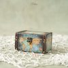 Treasure Case