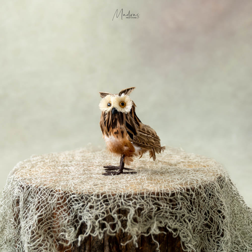 Straw Eyed Owl- Baby Prop