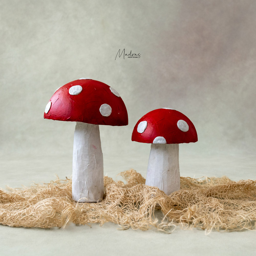 Handmade Mushrooms Set of 2 : Baby Props