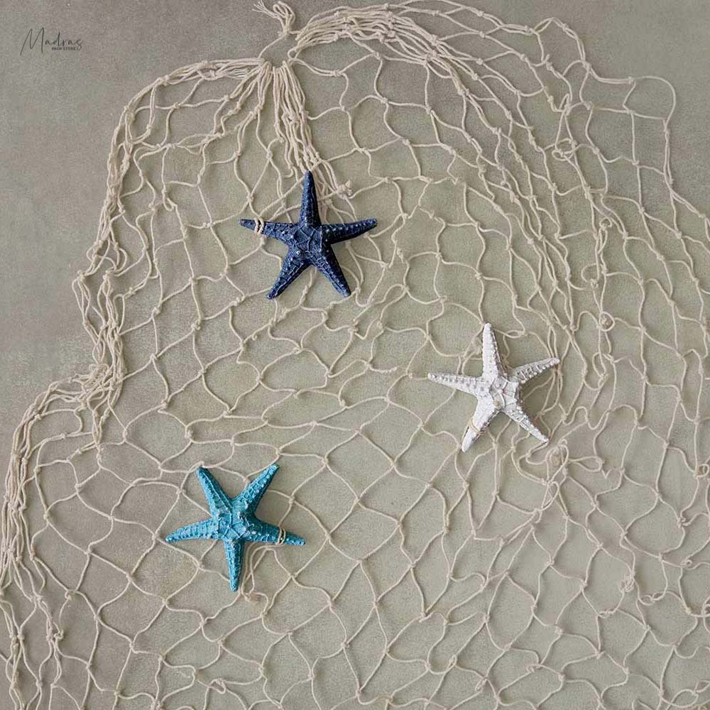 Star Fish Set Of 3 : Baby Props