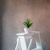 Grey Canvas - Baby Painted Backdrops