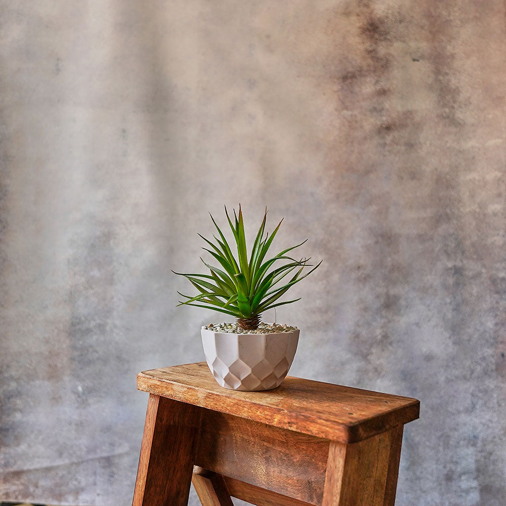 Neutral Light Shade Canvas : Painted Fashion Backdrops